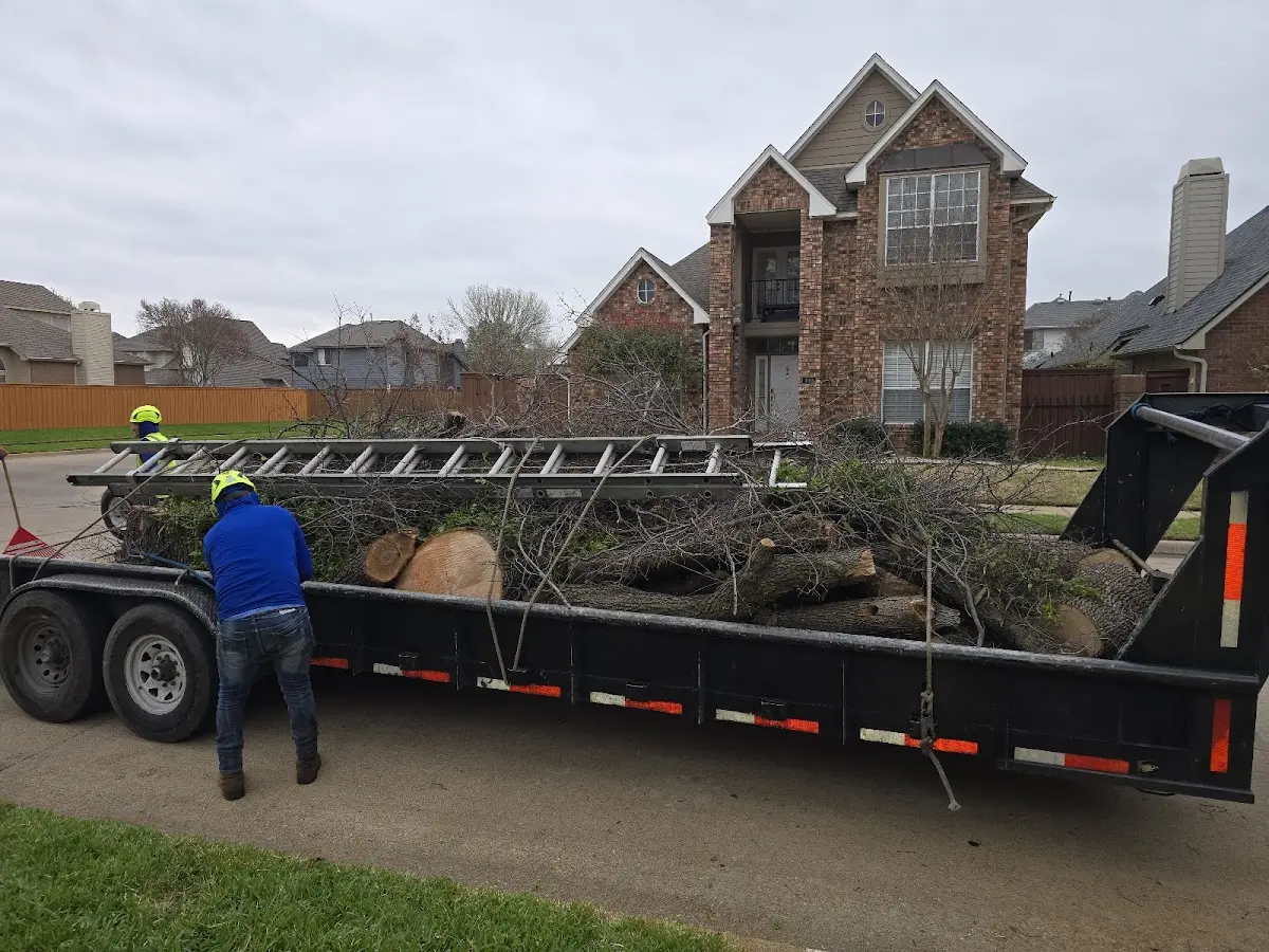 Expert Crown Reduction with proper safety equipment in Spring Valley
